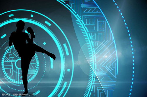 互聯(lián)網(wǎng)技術(shù)開發(fā)與金融業(yè)的深度融合 機(jī)遇、挑戰(zhàn)與未來(lái)趨勢(shì)