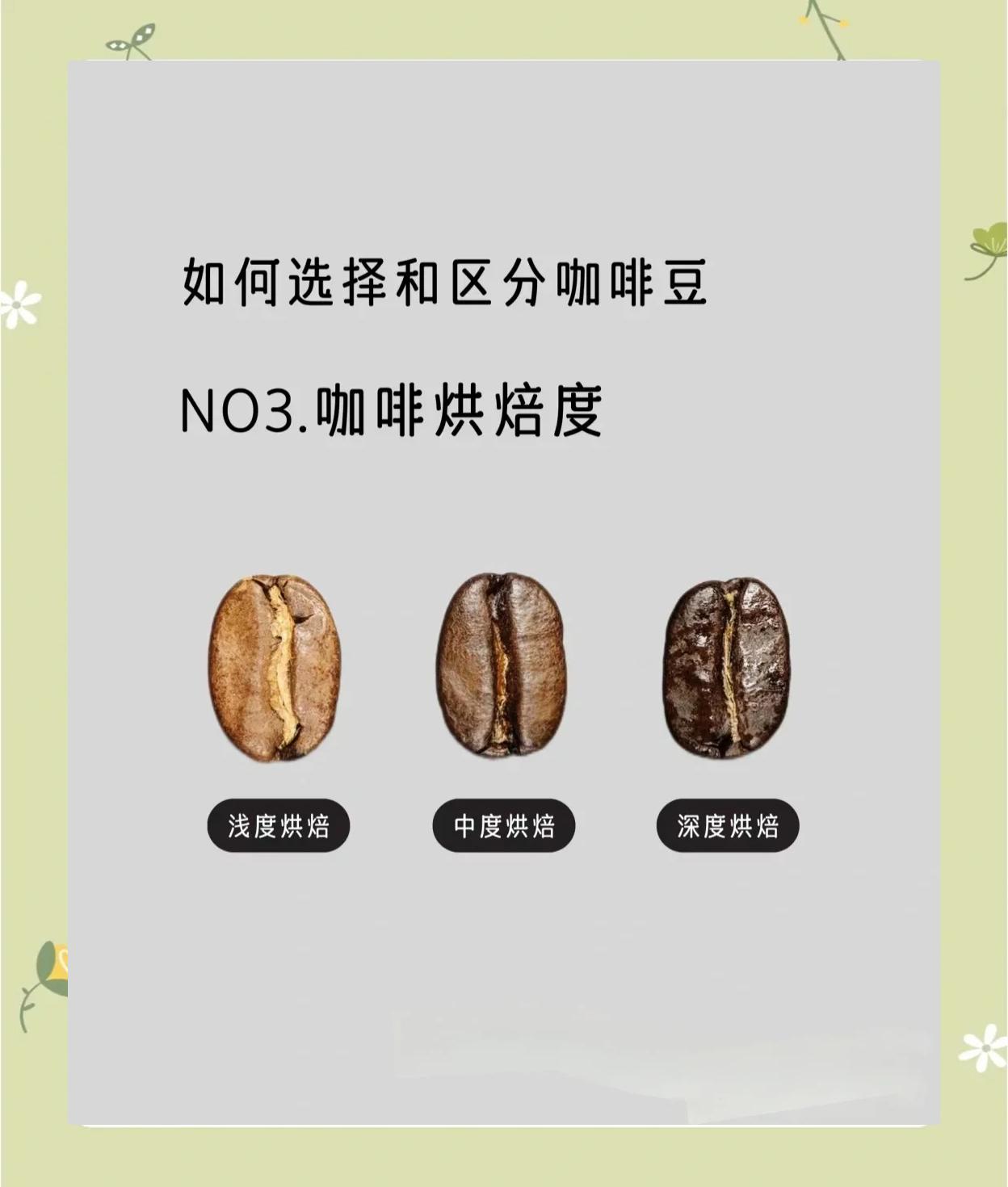 咖啡豆烘焙程度與風味全解析