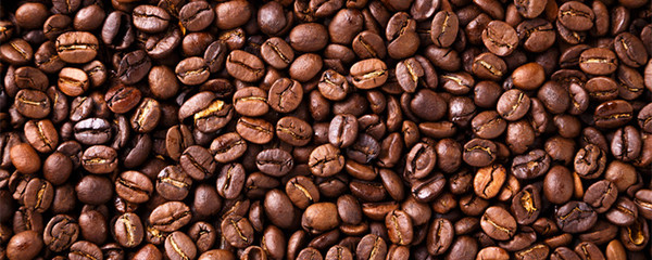 咖啡豆的多樣世界 種類、口味與烘焙奧秘